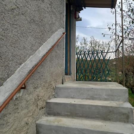 Appartamento Casa Vita Vallebona Esterno foto