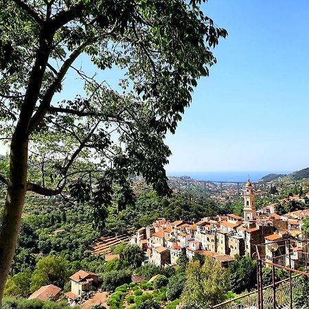 Appartamento Casa Vita Vallebona Esterno foto