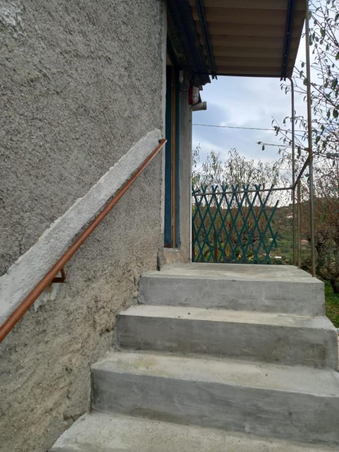 Appartamento Casa Vita Vallebona Esterno foto