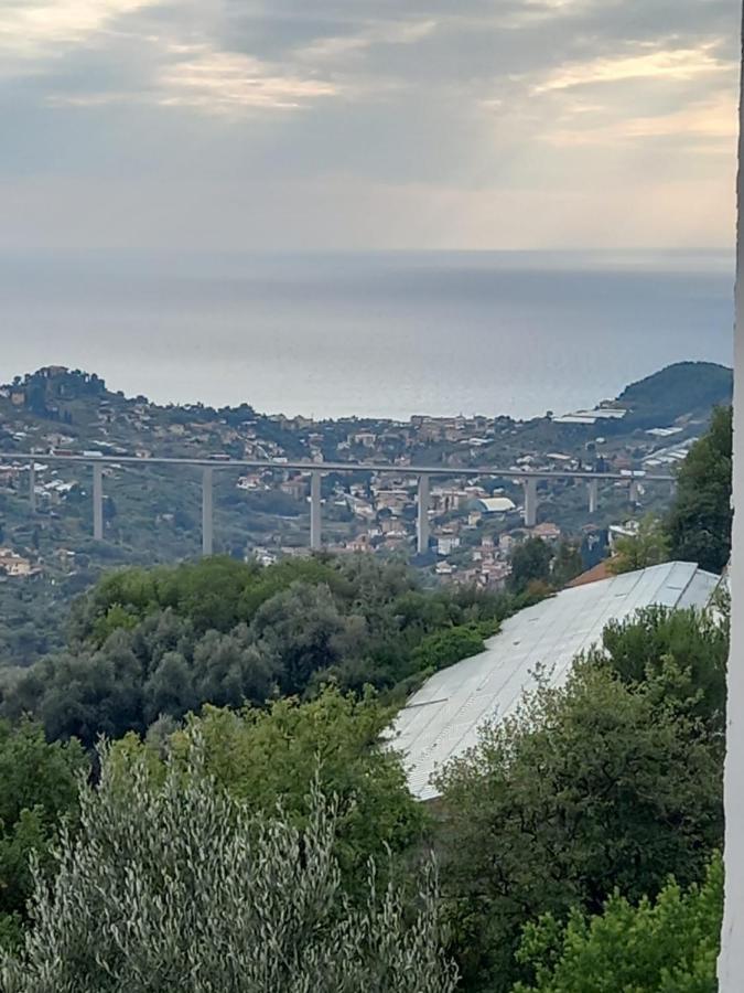 Appartamento Casa Vita Vallebona Esterno foto