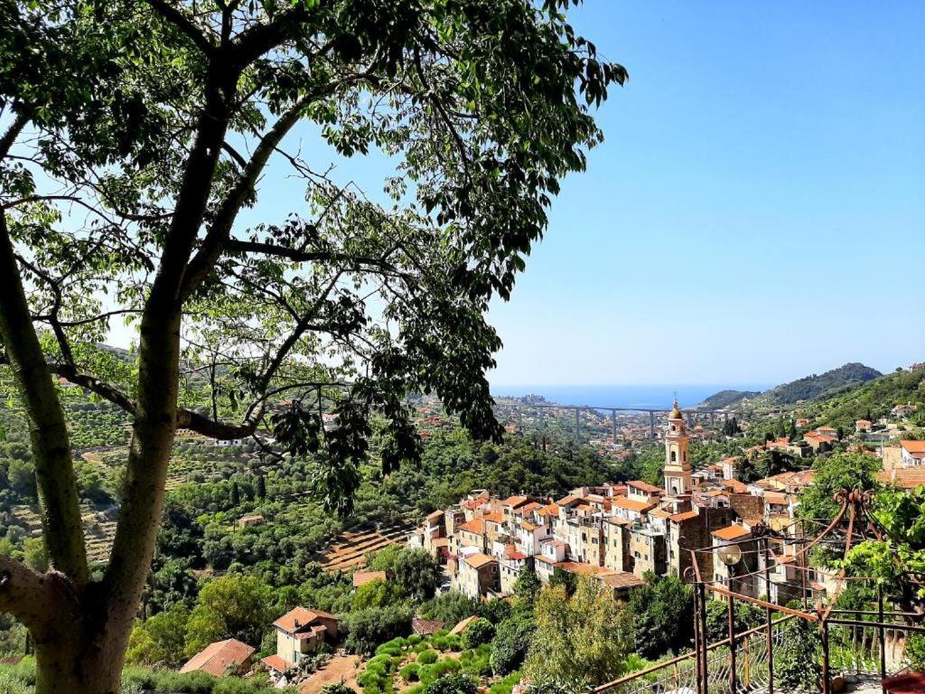 Appartamento Casa Vita Vallebona Esterno foto